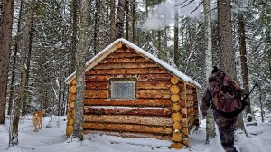 ОХОТА В ТАЙГЕ, ДОБЫЛ 2 ЗАЙЦЕВ С ПОДХОДА! ПОХОД ДО ИЗБЫ, ПОТЕРЯЛ СОБАКУ.