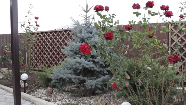 Дом в Сукко/Анапа смотреть онлайн