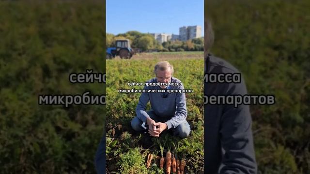 2 простых шага, чтобы получить большой урожай моркови!