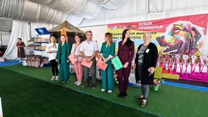Международная выставка невероятных собак