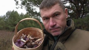 ВОТ ТАК НАХОДКА В ЛЕСУ! Грибы в ноябре НАШЁЛ 4 ВИДА ГРИБОВ!