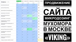 Продвижение сайта микродозинг мухомора в Москве — VIKING