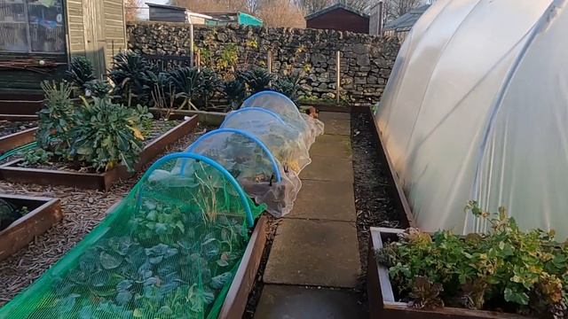 Important Garden Inspection | What Needs Doing For The Coming Gardening Season смотреть онлайн