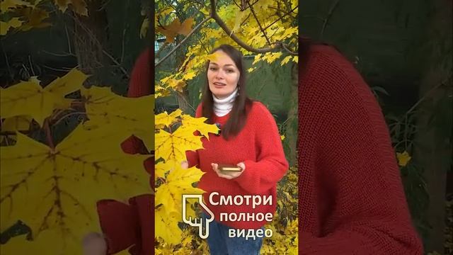 НИКАК НЕ ВЛИЯЮТ! Правда о минеральных удобрениях