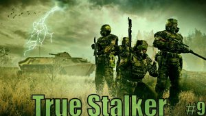 Прохождение True Stalker Стрим 9 Загадки Янтаря