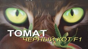 200% ЗАВЯЗЫВАЕМОСТИ при любой погоде! Обзор сортов ТОМАТОВ!