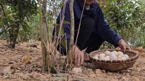 Single mother: I sell eggs at the market and take care of my sick father | Ly Thi Duyen