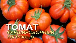 Очень необычный ТОМАТ для фарширования! Обзор сортов ТОМАТОВ! Советы от ЗЕЛЕНОГО ОГОРОДА!