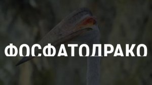 НАУЧНЫЙ РАЗБОР ДОИСТОРИЧЕСКАЯ ПЛАНЕТА | Побережье