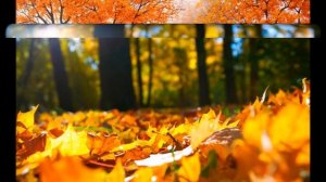 Осенью. С.Ю. Майкапар