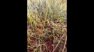 Архангельск, СЛАЙД