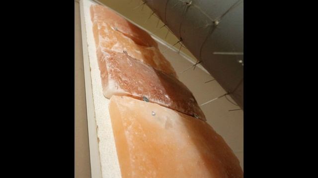 ДИ#3. Аэроионный кактус и гималайская соль. 2023.02.06