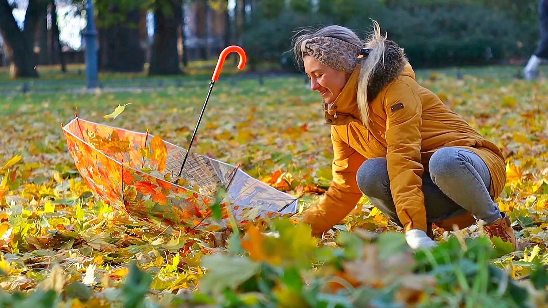 Синий зонтик, Красный зонтик ... Осень 2024 (2) смотреть онлайн