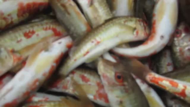 Дорога домой...#Музыка