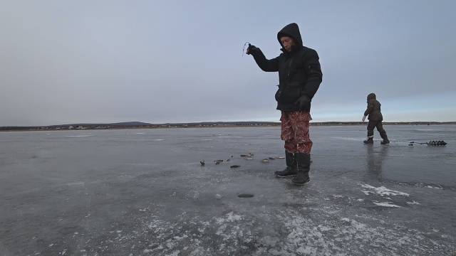 Дикий клёв окуня на балансир.