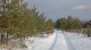 Первый снег.