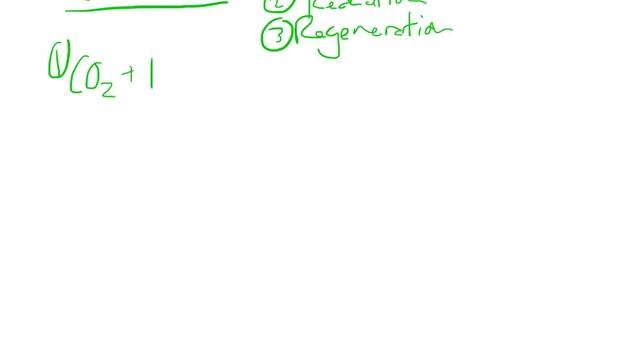 AP Biology - Photosynthesis