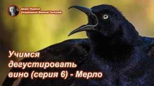 Учимся дегустировать вино (серия 6) - Мерло