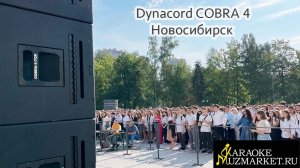 Dynacord Cobra 4 Новосибирск Прокат Аренда Звука