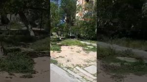 Кентау. Улицы и дома родного города. 26.04.2024. Туркестанская область Казахстан.