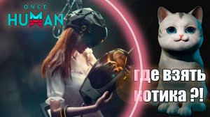 Once Human Где Найти Кота Девианта? Милый котик для сна 😻