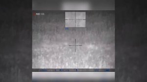 Охота на лося вовремя гона!!!