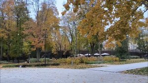 Велопрогулка по центру Воронежа