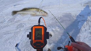 СУДАКИ В КАЖДОЙ ЛУНКЕ! СУДАК НА БЛЁСНА ВИБЫ! РЫБА В ЭХОЛОТЕ! РЫБАЛКА НА ВОДОХРАНИЛИЩЕ 2024 #судак