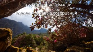 Потусторонние Гималаи - Рододендроновые каа-пей-зажи I - Matedrinking in the rhododendron cave