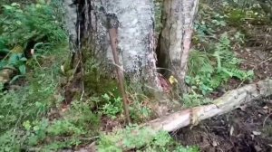 КОП ПО ВОВ 1940 - 1944гг. На Финских позициях. Фильм 27.