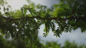 Slow life of woman a 30 year old