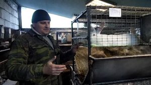 клетки для КРОЛИКОВ.один ярус или два яруса?