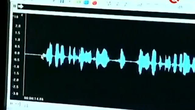 Фоноскопическая экспертиза // Экспертиза звукозаписи или аудиозаписи