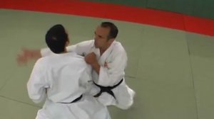 NIJUSHIHO_le_kata___le_bunkai___la_réalité_par_Didier_Lupo