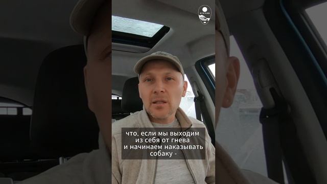 Как не проиграть собаке?