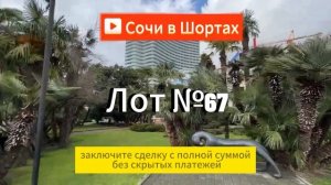 Сочи ЖК Романовский Студия 31 квадрат, купить квартиру в Сочи, Недвижимость в Сочи, студия в Сочи