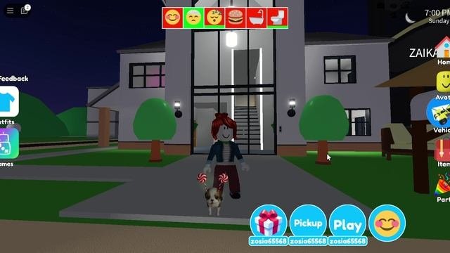 Roblox 2024-11-05 20-59-14