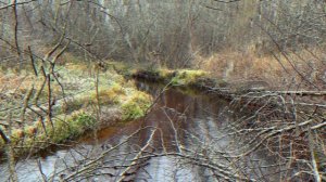 Речка Чёрная, первый снег в ноябре 2024