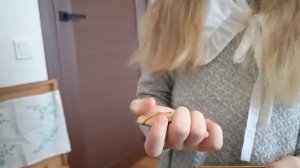 Музей в сундуке. Для всероссийского конкурса "Семейная реликвия". Что хранится в старом сундуке?