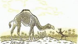 Сказка о плохом друге (Индийская сказка) - аудио сказка