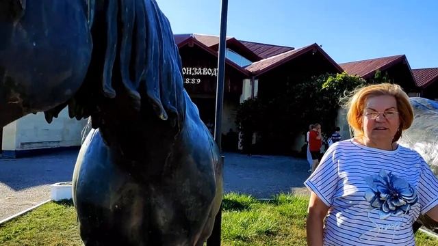 Кавказские Минеральные Воды. Санаторий Новотерский. Отдых и лечение смотреть онлайн