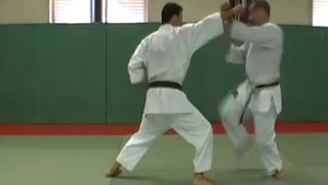 SOCHIN__KATA__BUNKAI__DEFENSE_par_Didier_LUPO