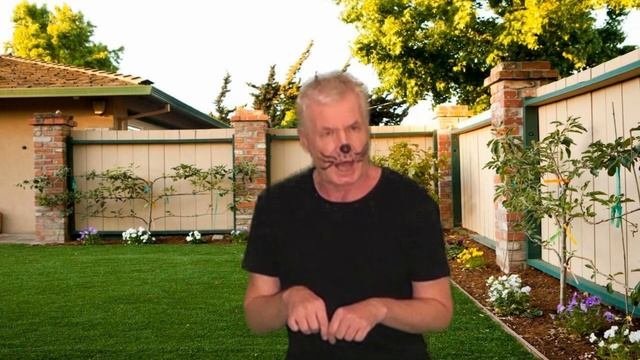 Собачкины огорчения