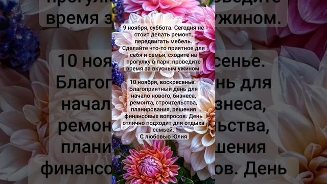 1731148670905.mp4