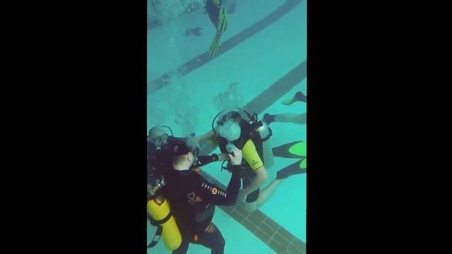 23 апреля 2017 года.  Очередные подводные занятия.