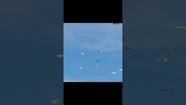 09-11-2024 смотреть онлайн