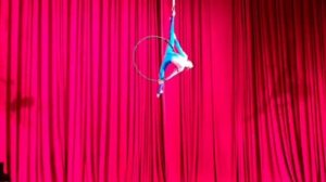 video_2024-11-09_16-04-51