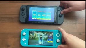 Сравнение Nintendo switch и Nintendo switch lite