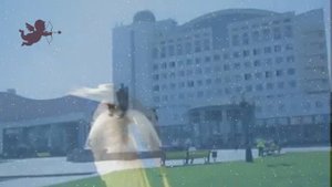 Чудеса....поет Катя Кошмина)))