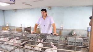 БАКТЕРИИ для навоза под клетками.